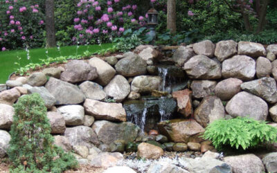 How to Incorporate Water Features into Your Landscape Design