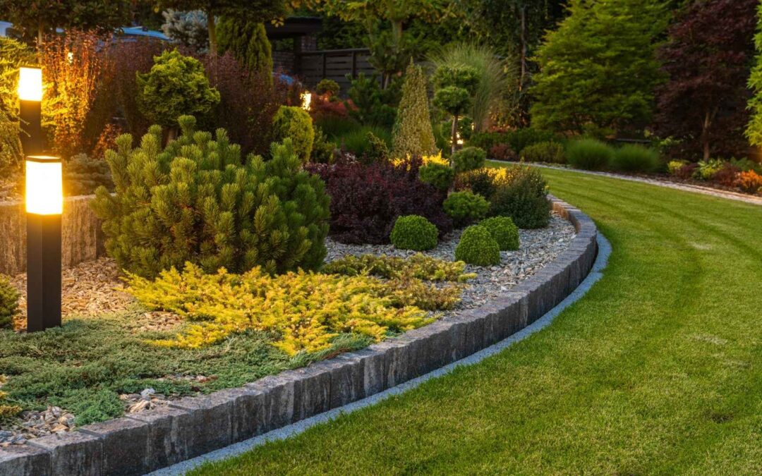 residential garden landscape with lighting