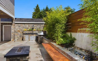 What Makes a Hardscape Design Truly Exceptional