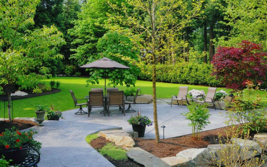 Designing Your Backyard Oasis: Pools, Patios, and Hardscapes